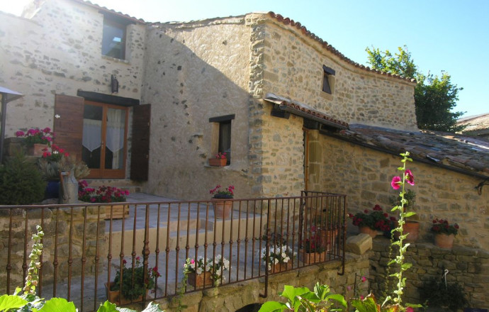 Les Roses Trémières Saint André De Rosans