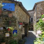 chambre-d-hotes - Les Roses Tr&eacute;mi&egrave;res - ST-ANDRE-DE-ROSANS - Hautes-Alpes