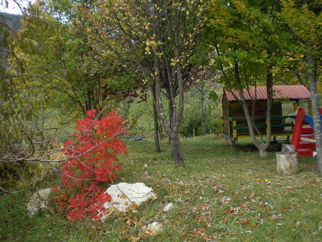 photo 35