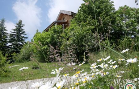 Cabane sur pilotis5532 Saint-Michel-de-Chaillol - Hautes-Alpes - photo