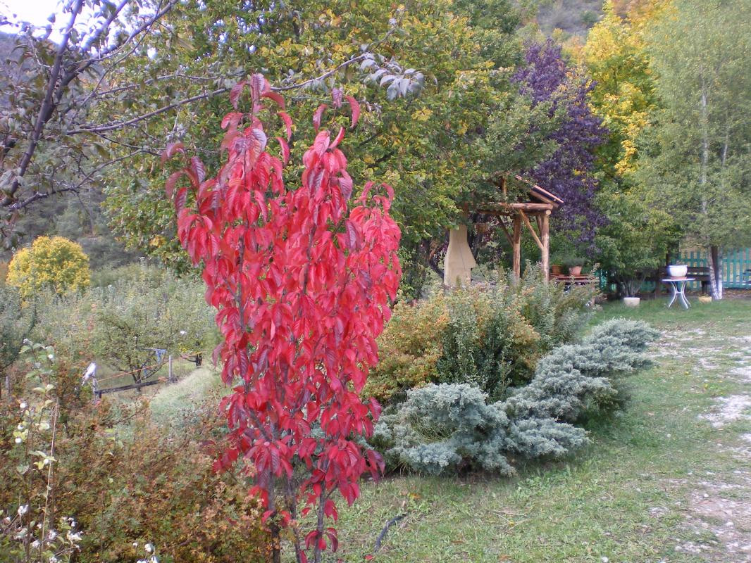 photo 38