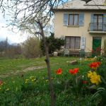 gite - Gite de Pierre et Suzanne JAUSSAUD - ST-BONNET-EN-CHAMPSAUR - Hautes-Alpes